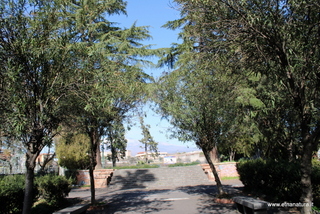 Villa Moncada